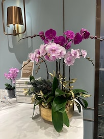 Orchid display at reception
