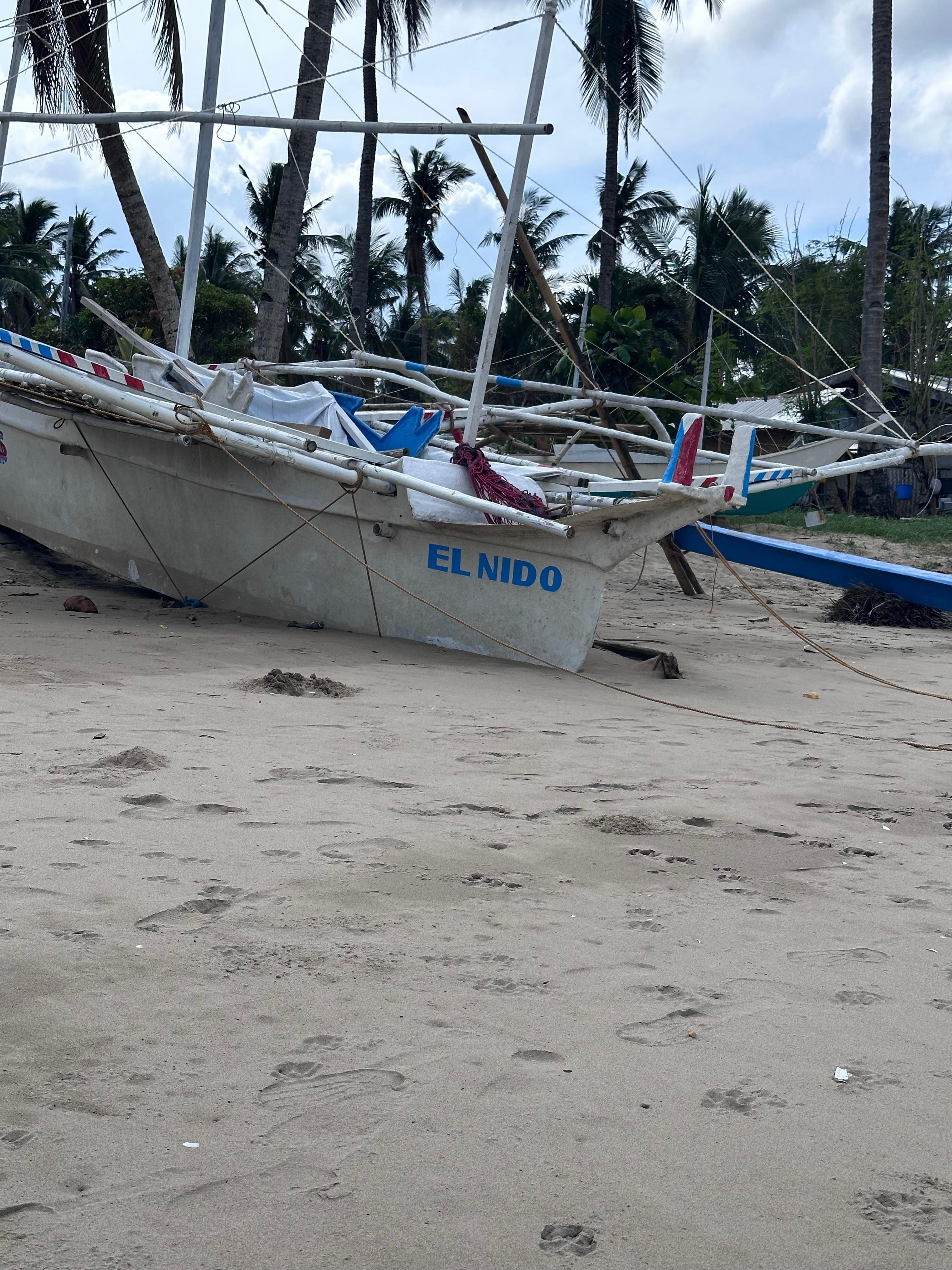 Out and about on the beach just steps from the property.