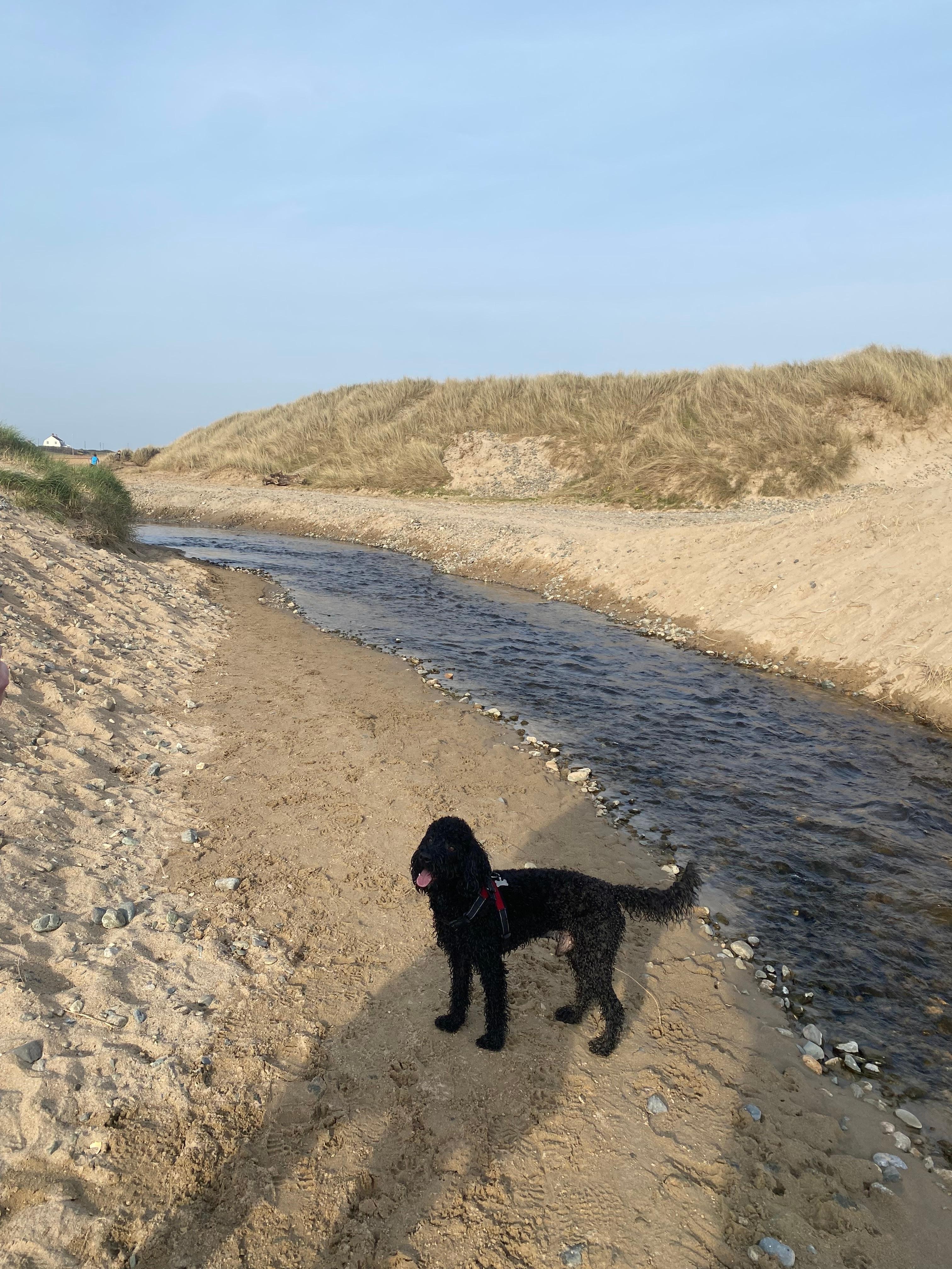 Discovering new areas