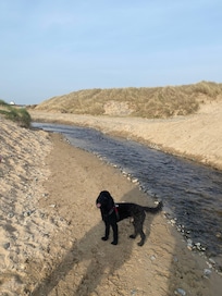 Discovering new areas