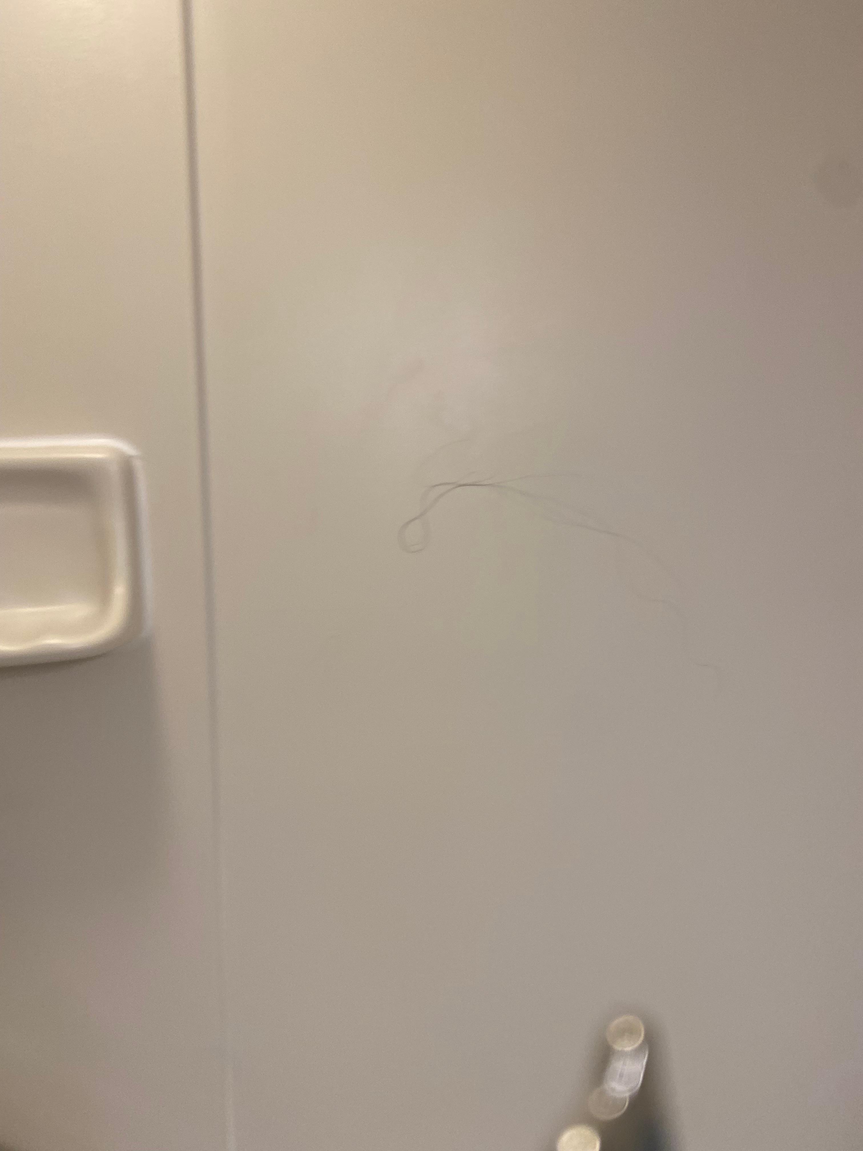 Hair stuck to shower wsll