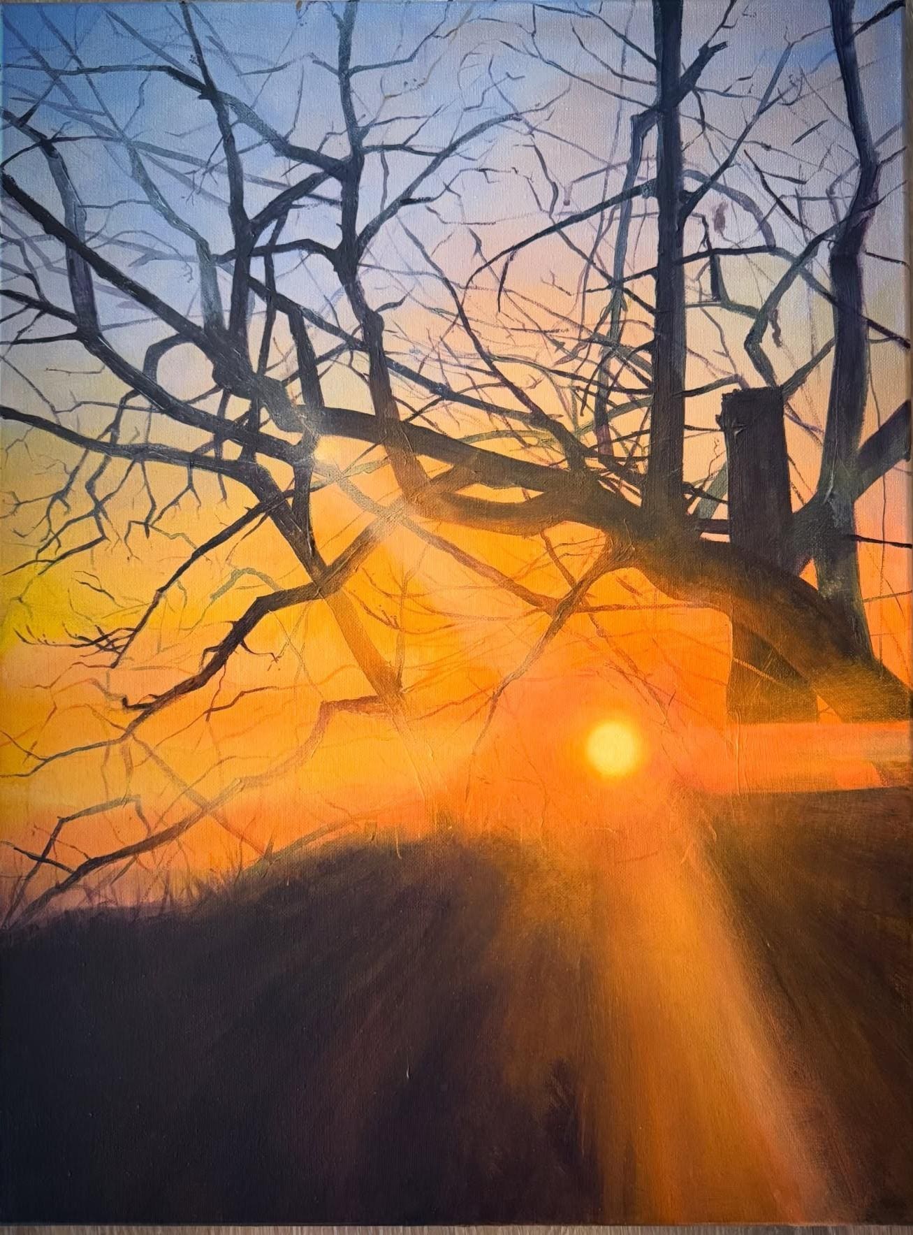 Sunset through trees from the right of the back deck at Cloud Nine