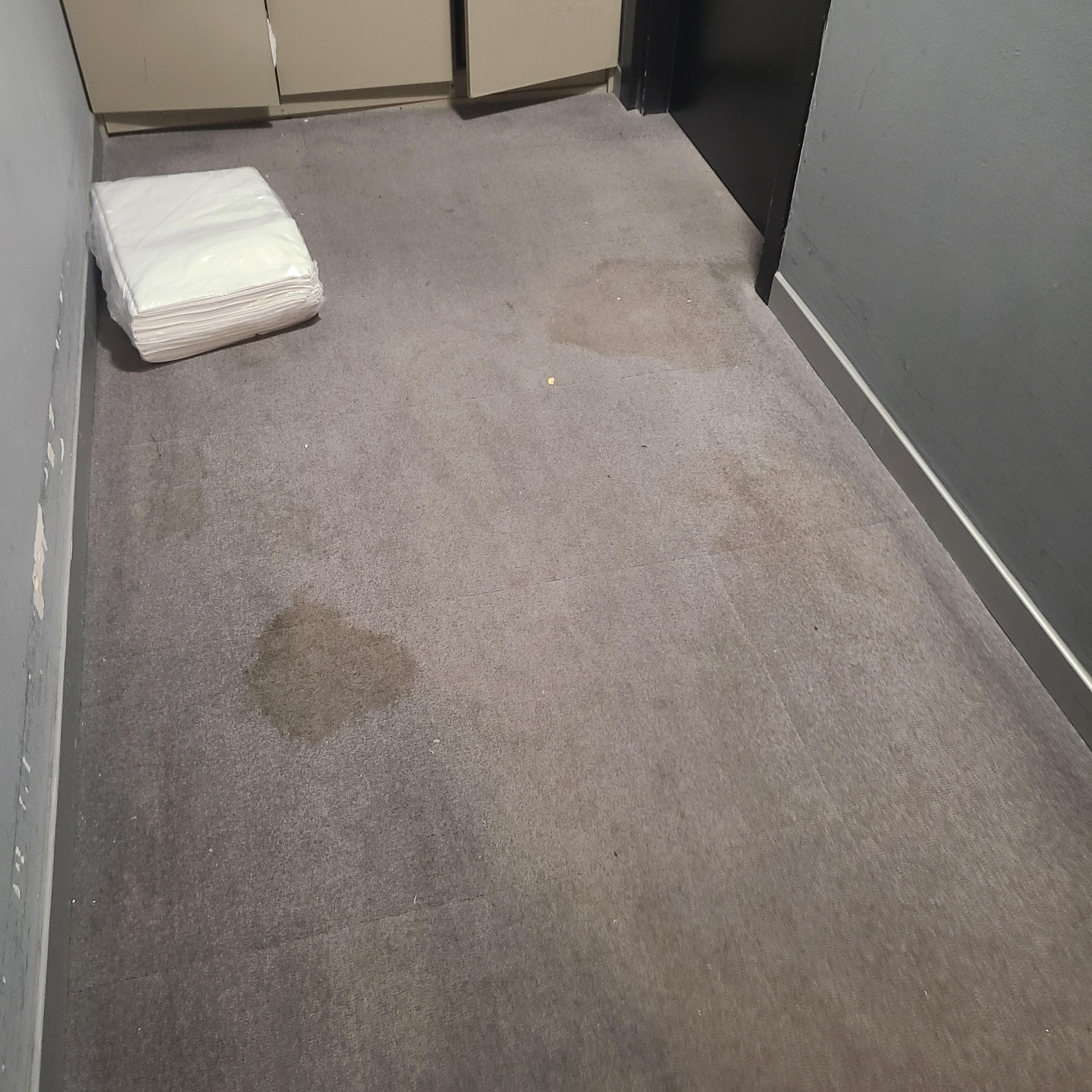 Stains in hallways need carpet replacement.