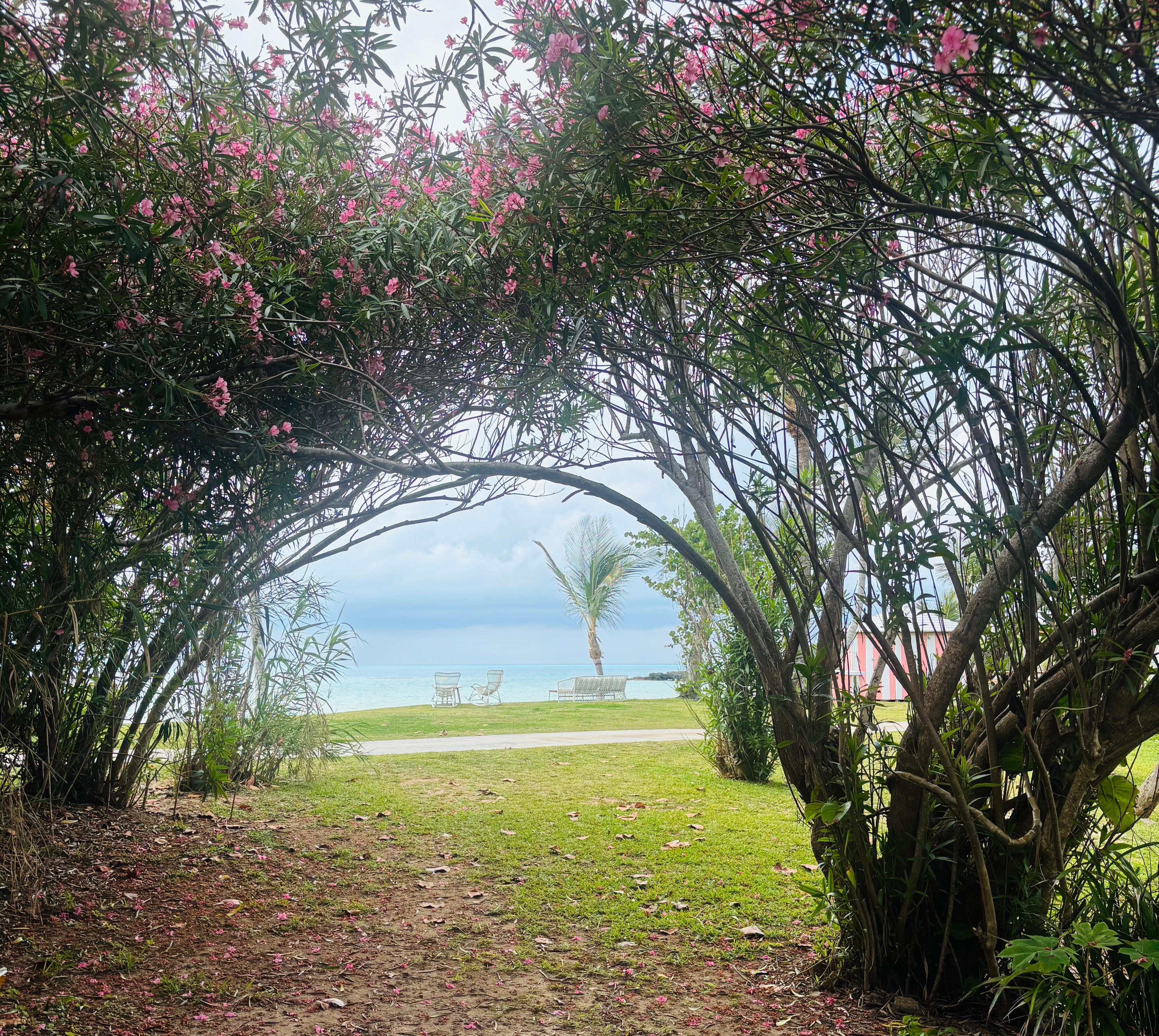 From backyard to beach!