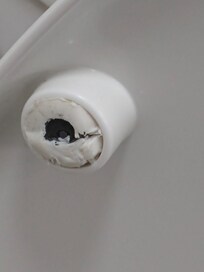 One of several broken parts of the toilet.