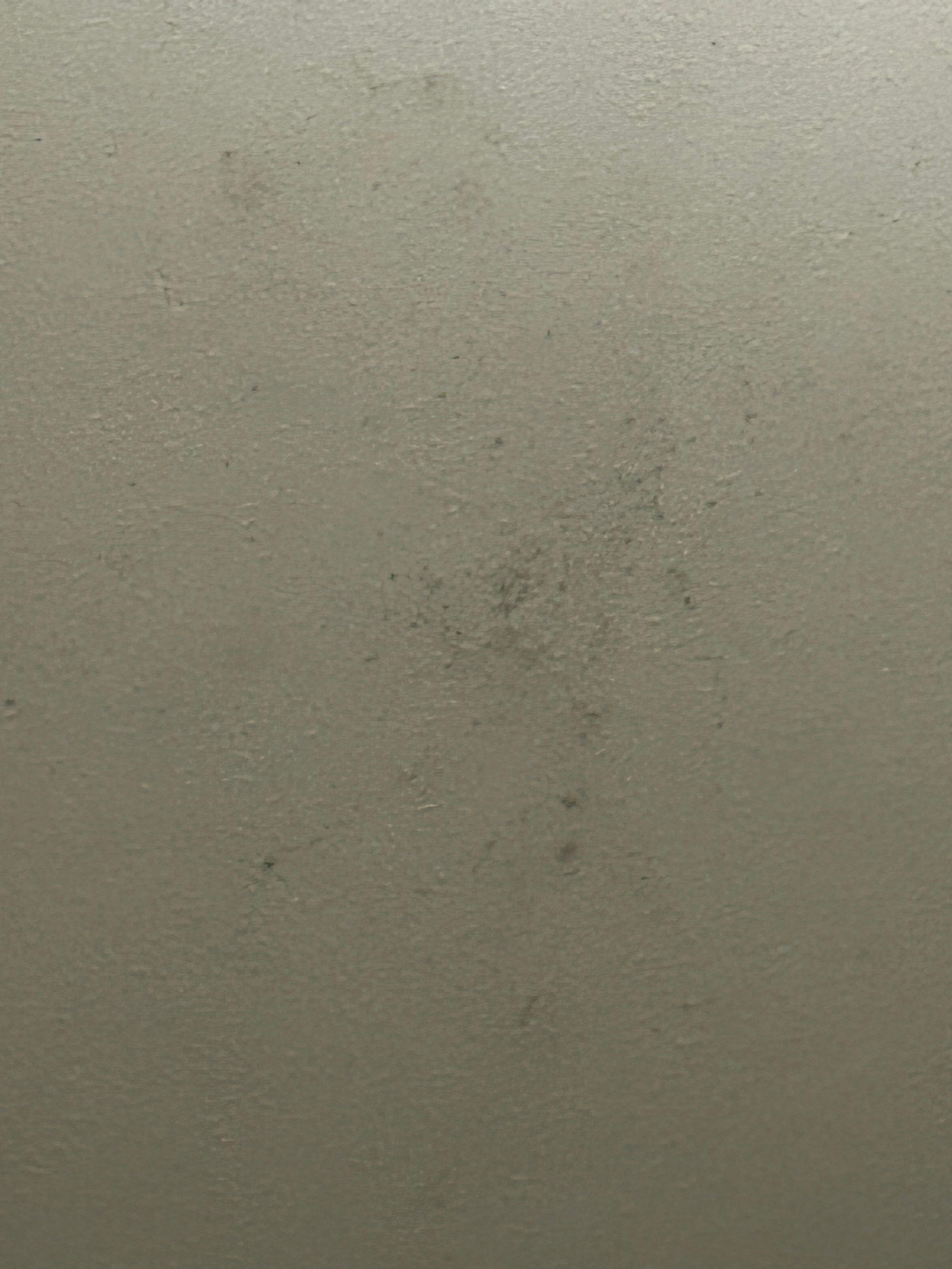 Black mold on ceiling 