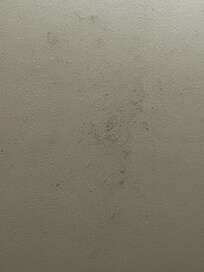 Black mold on ceiling
