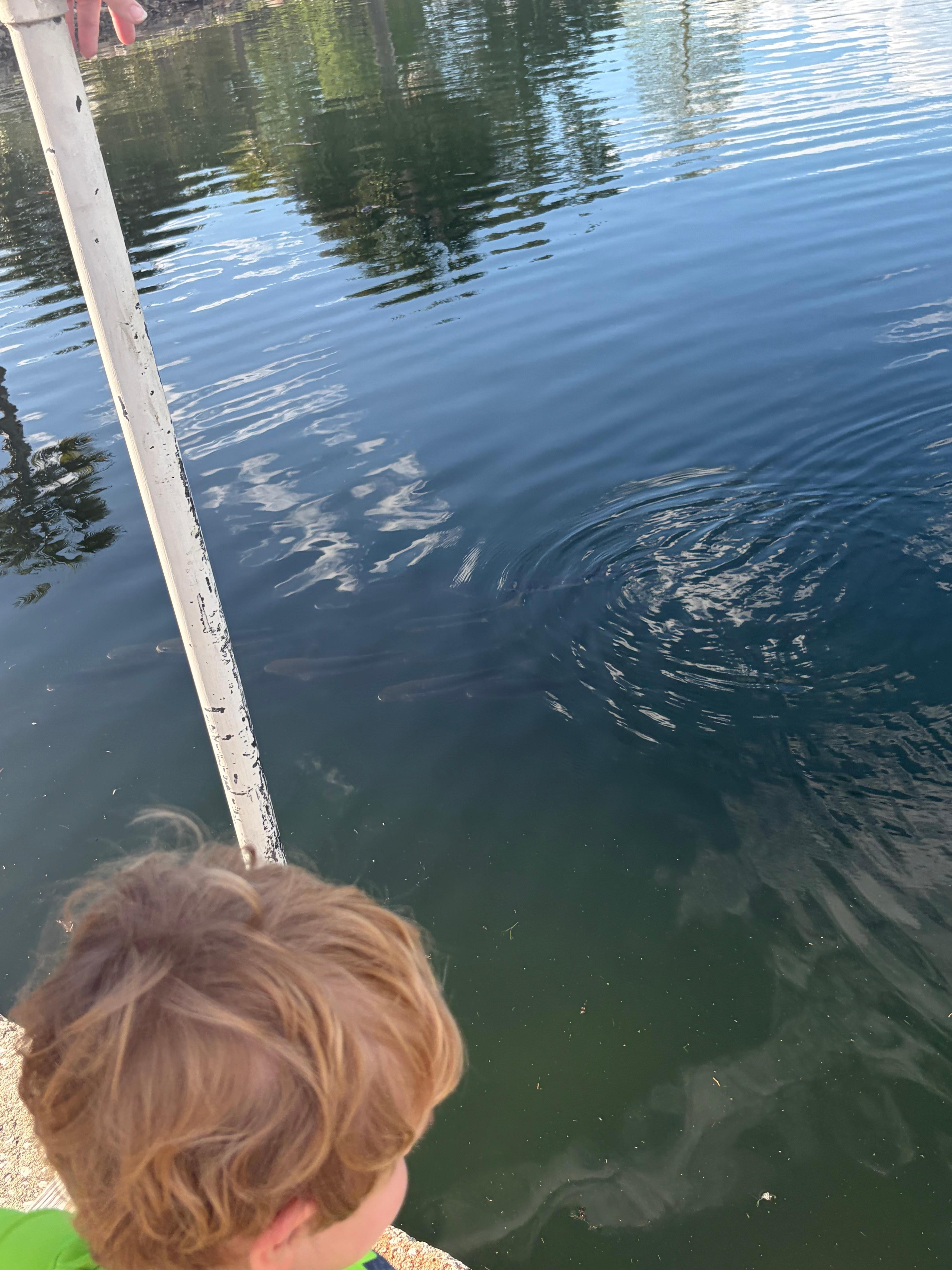 Fishing right across the road. We caught Bass, Bluegill, Mangrove Snappers, we saw manatees and snook as well.