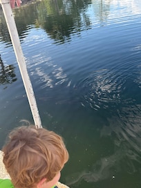 Fishing right across the road. We caught Bass, Bluegill, Mangrove Snappers, we saw manatees and snook as well.