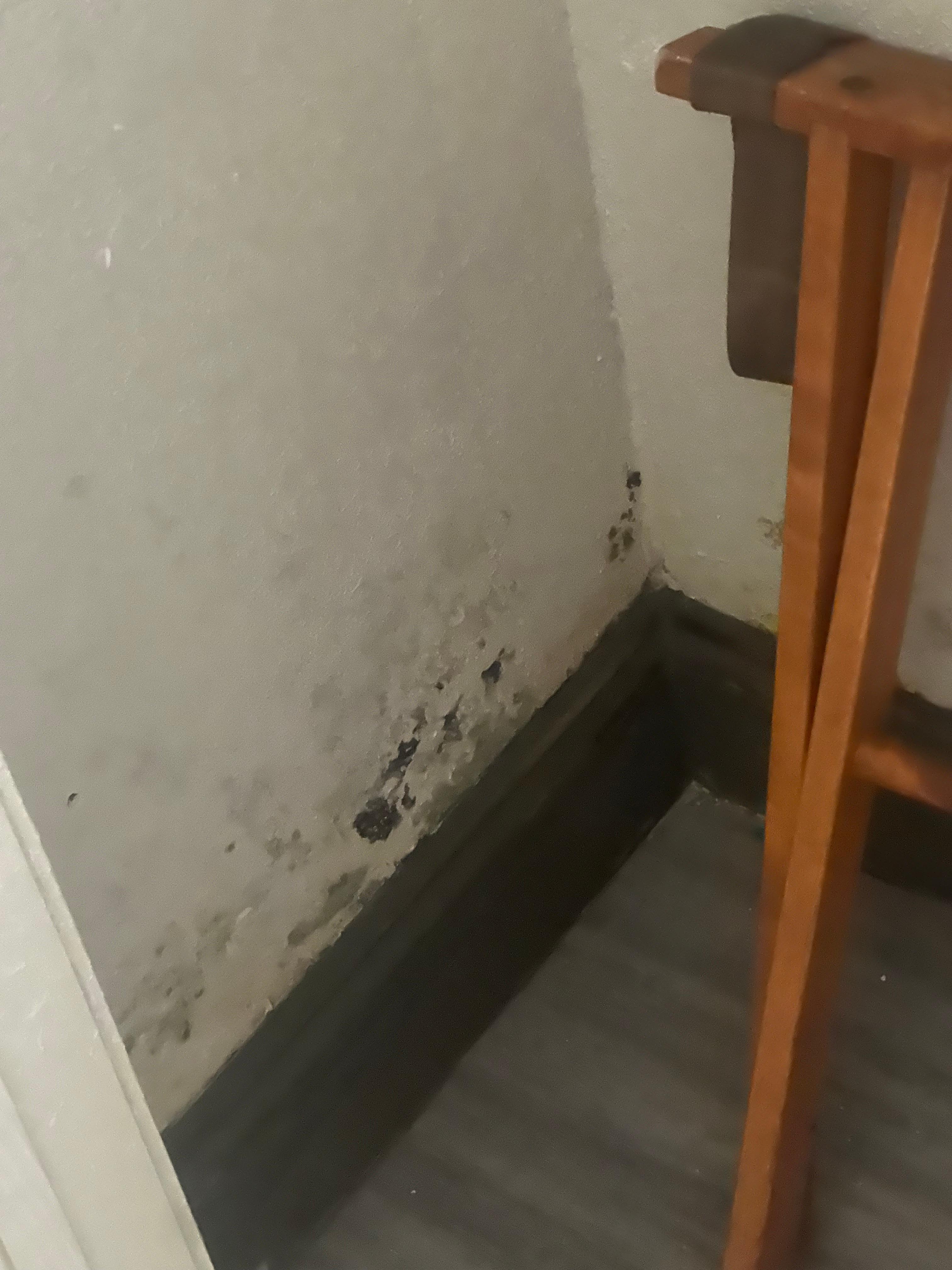 Mold in closet