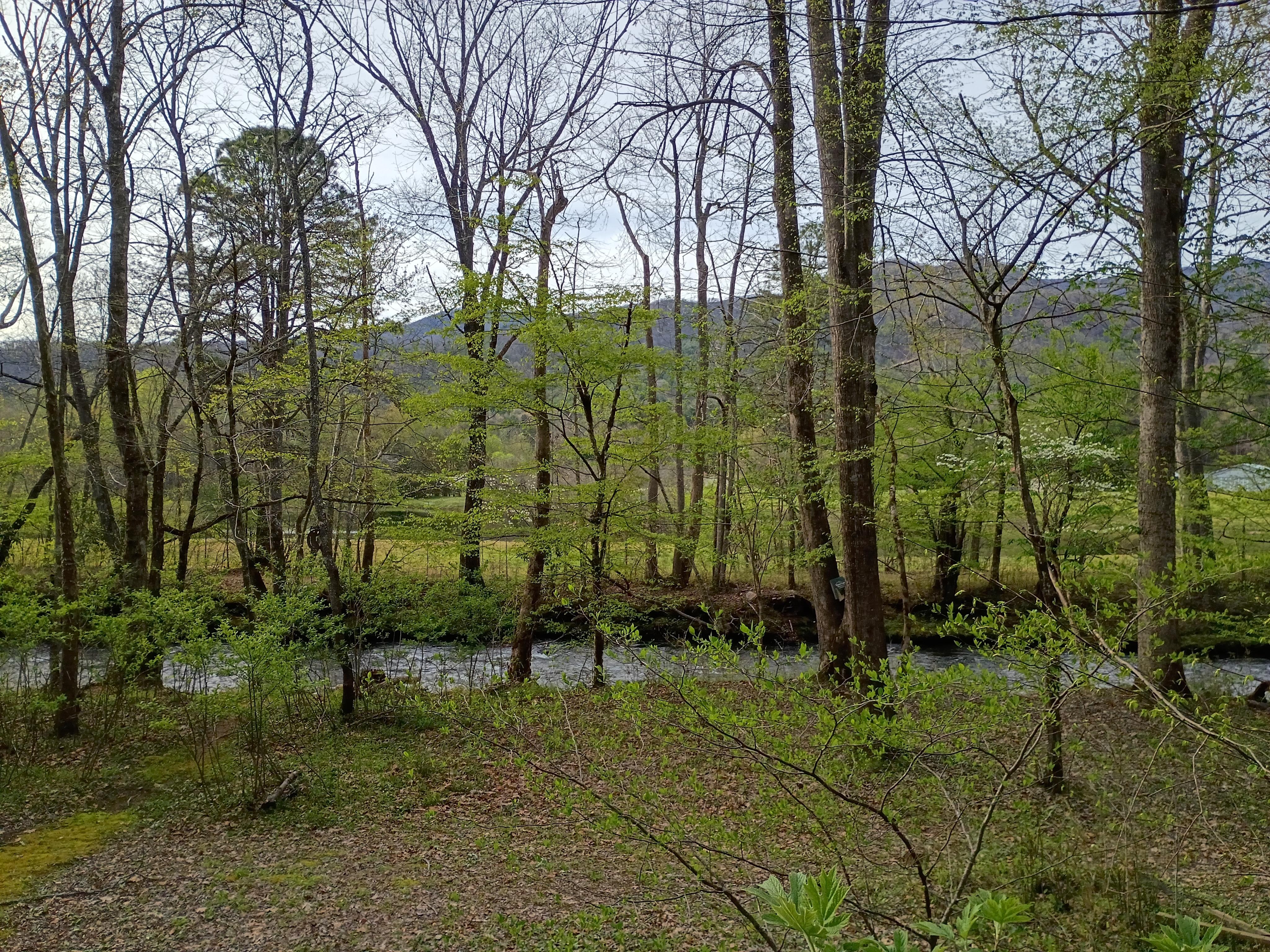 View of the creek and mountains in the distance from the back porch.