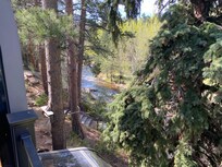 Peaceful backyard view 1