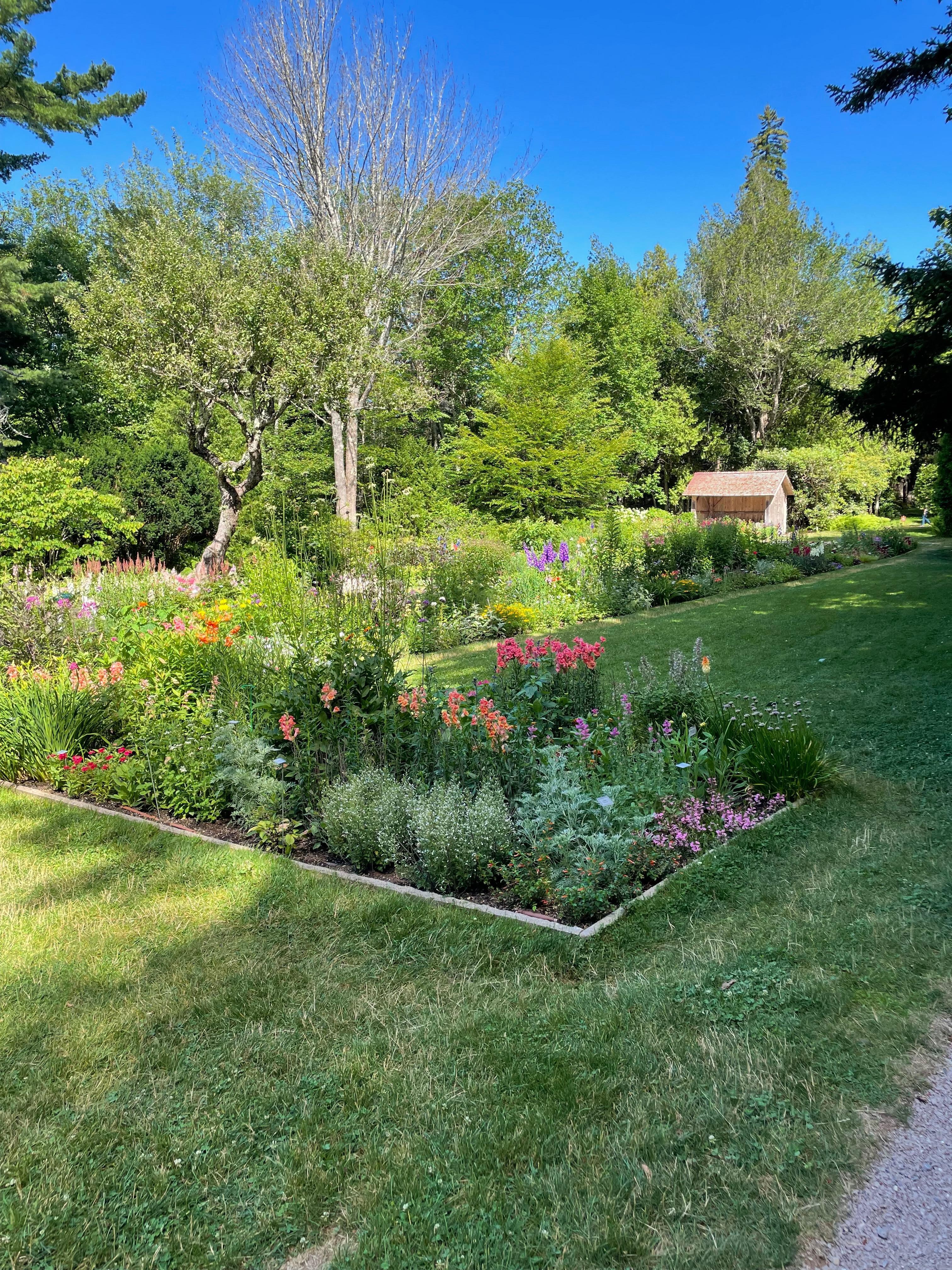 Thuya garden 