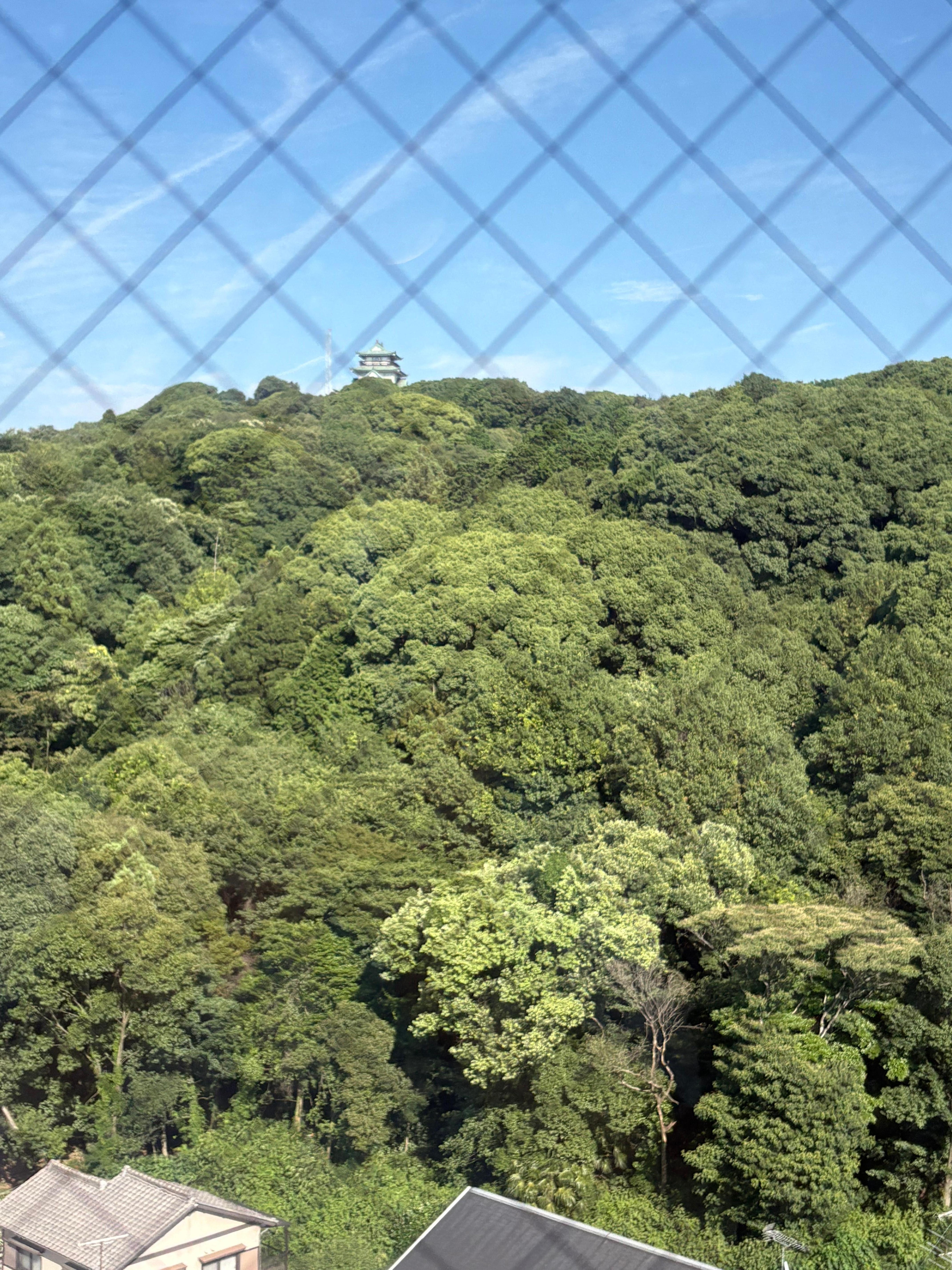 小牧城が間近に見えます。