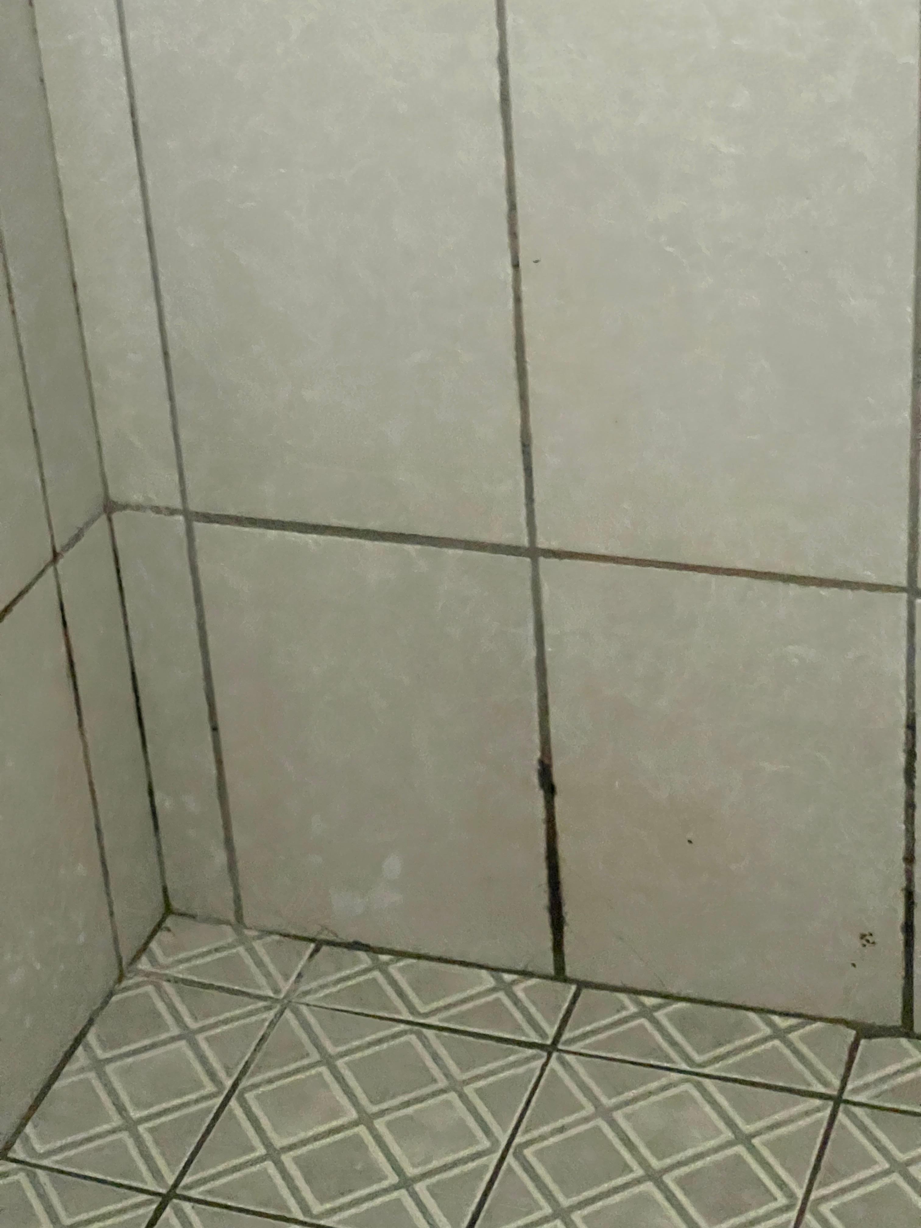 All the shower room was like that 