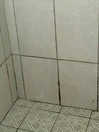 All the shower room was like that