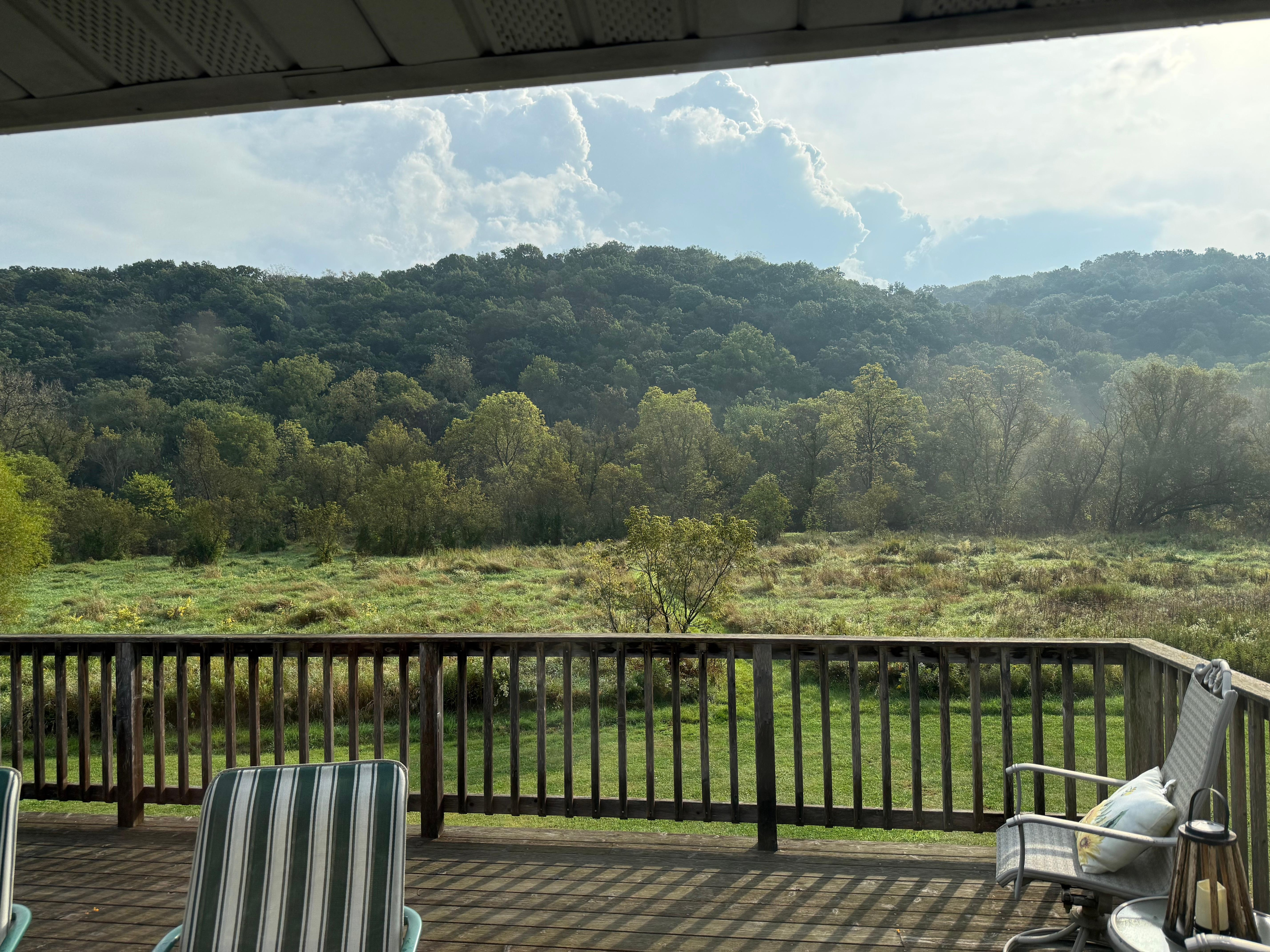View from the dining area. 