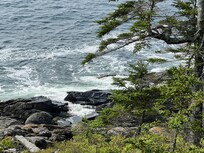 View from the deck