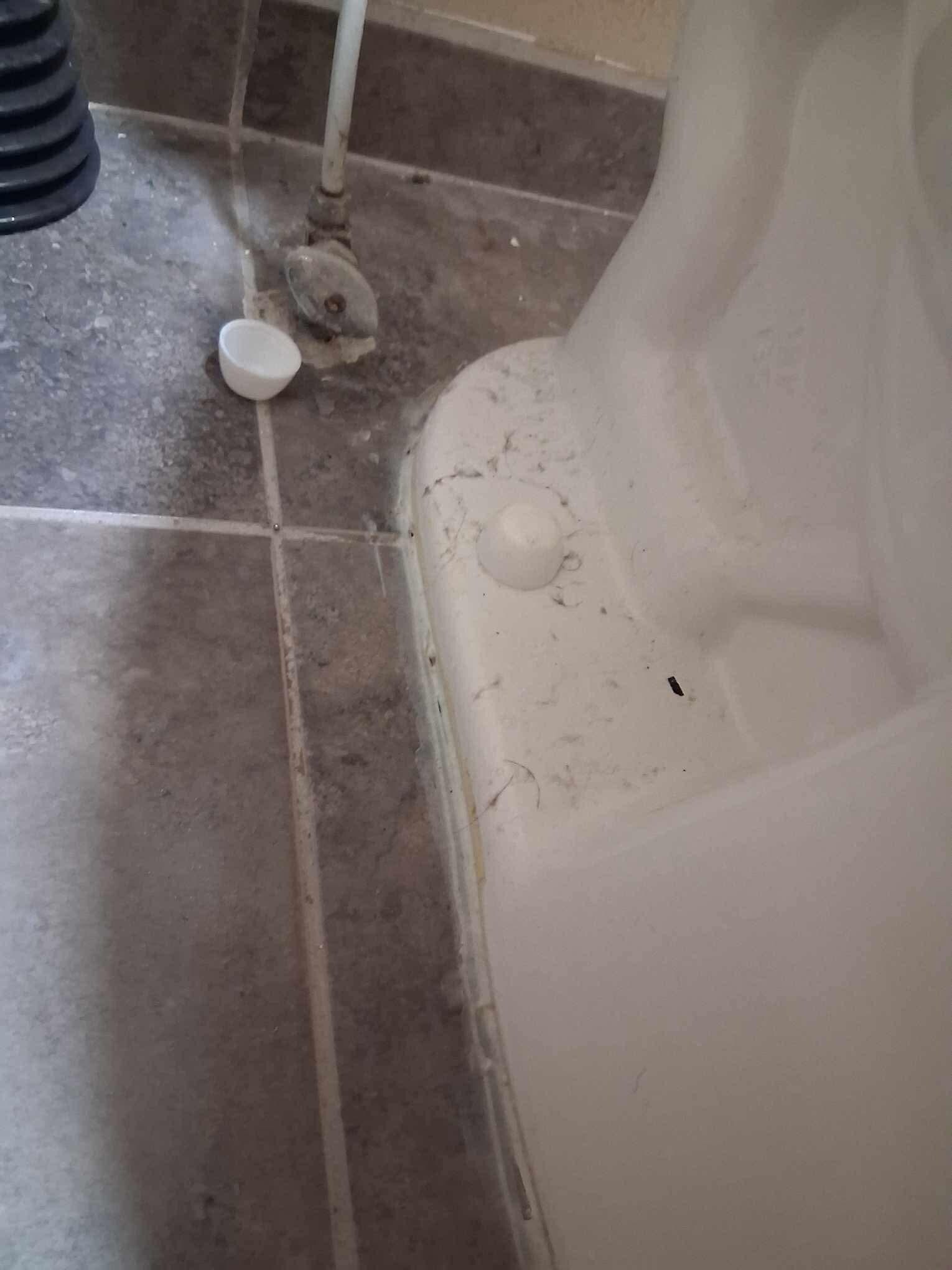 Feces and urine