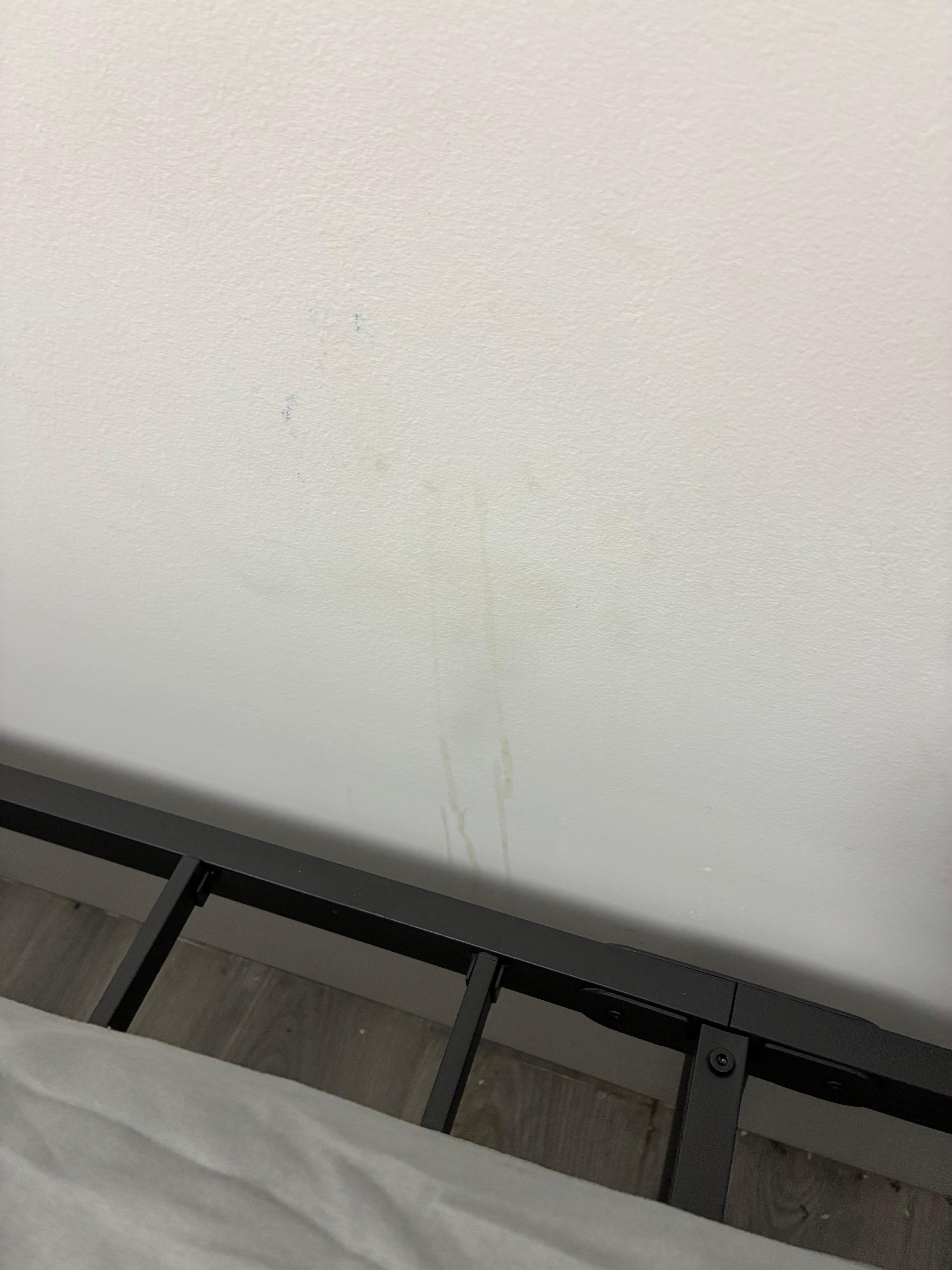Wall Splatter behind the mattress we found while looking for bedbugs