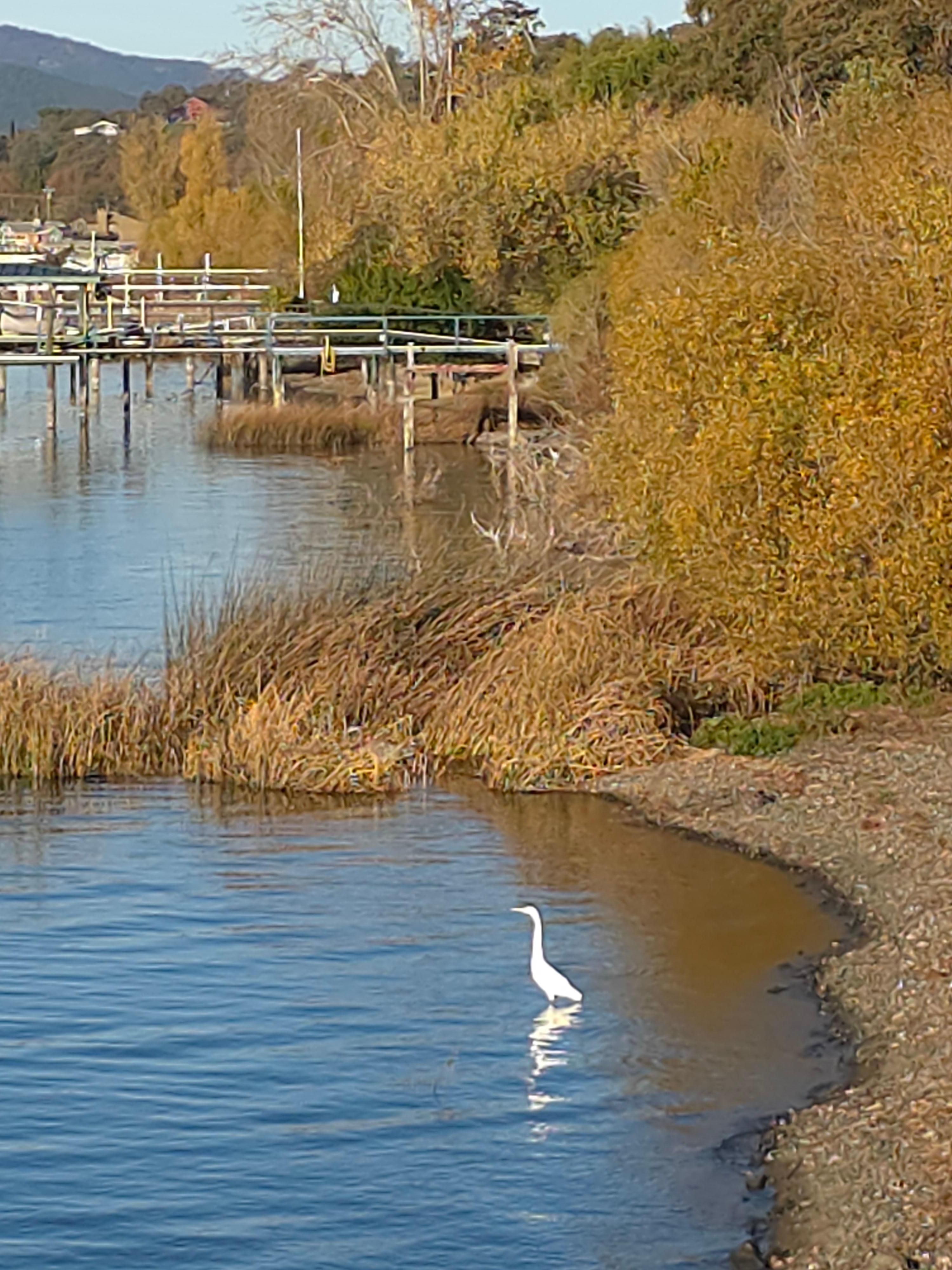 View from the deck #2