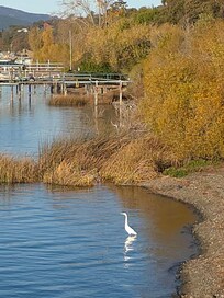 View from the deck #2