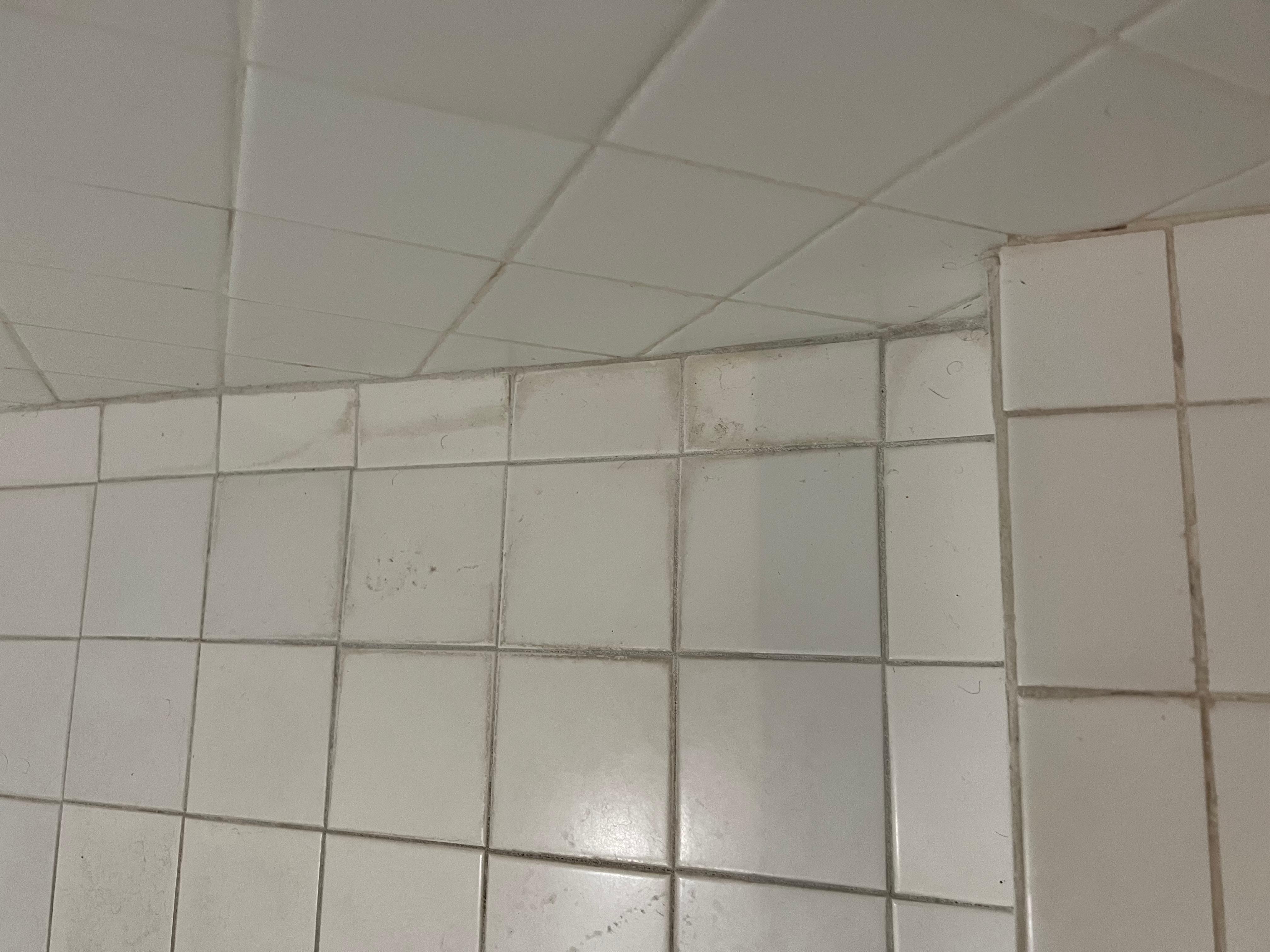 Bathroom needs a deep cleaning