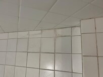 Bathroom needs a deep cleaning