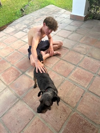 Dog visits.