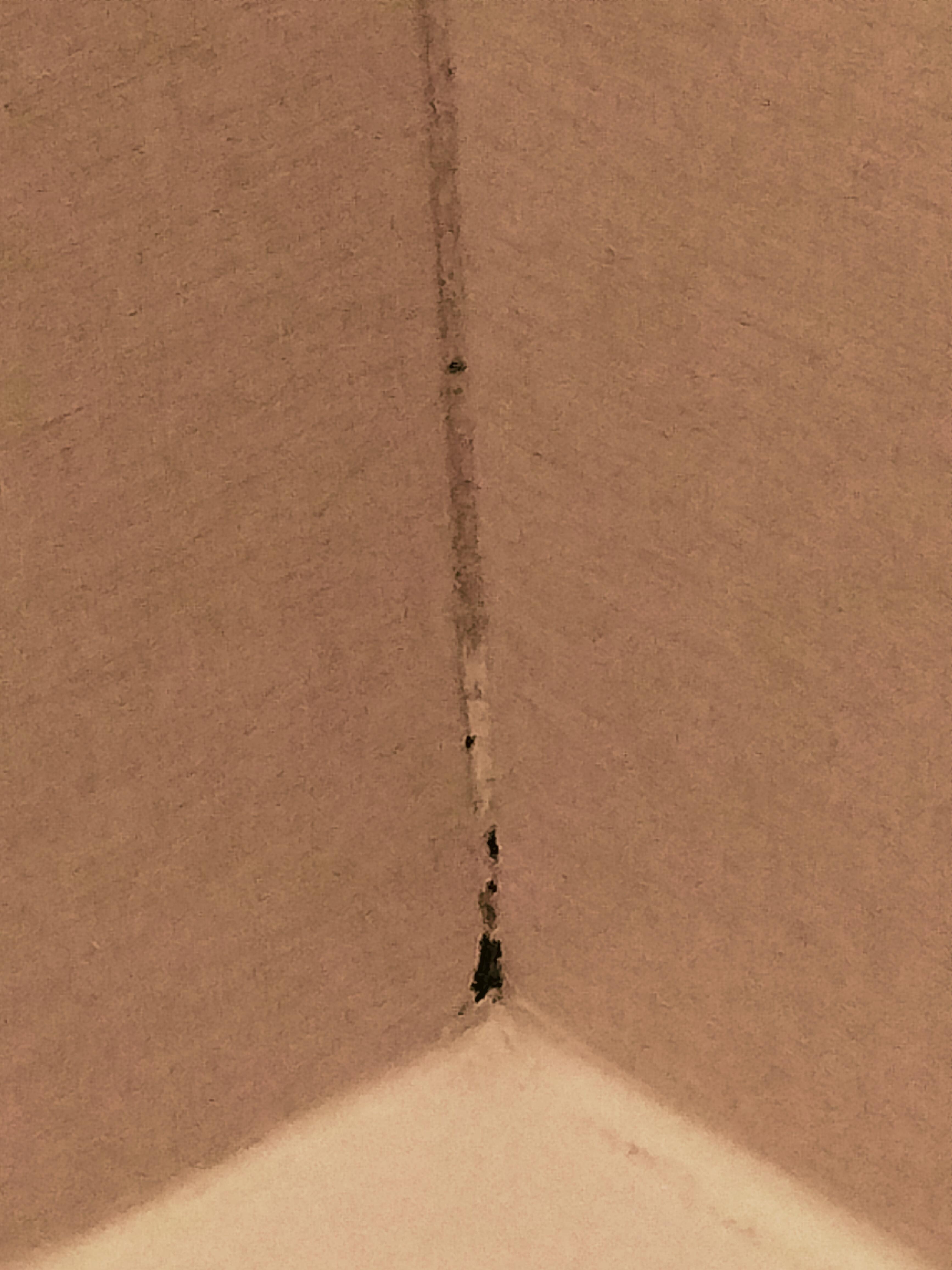 Black mold in shower