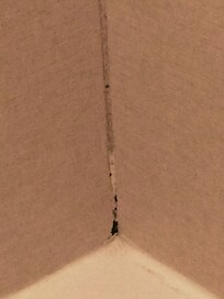 Black mold in shower