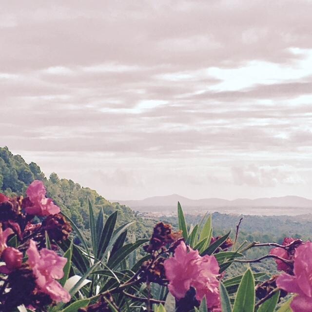 Finca Hotel Albellons Parc Natural Reviews Photos Rates Ebookers Com