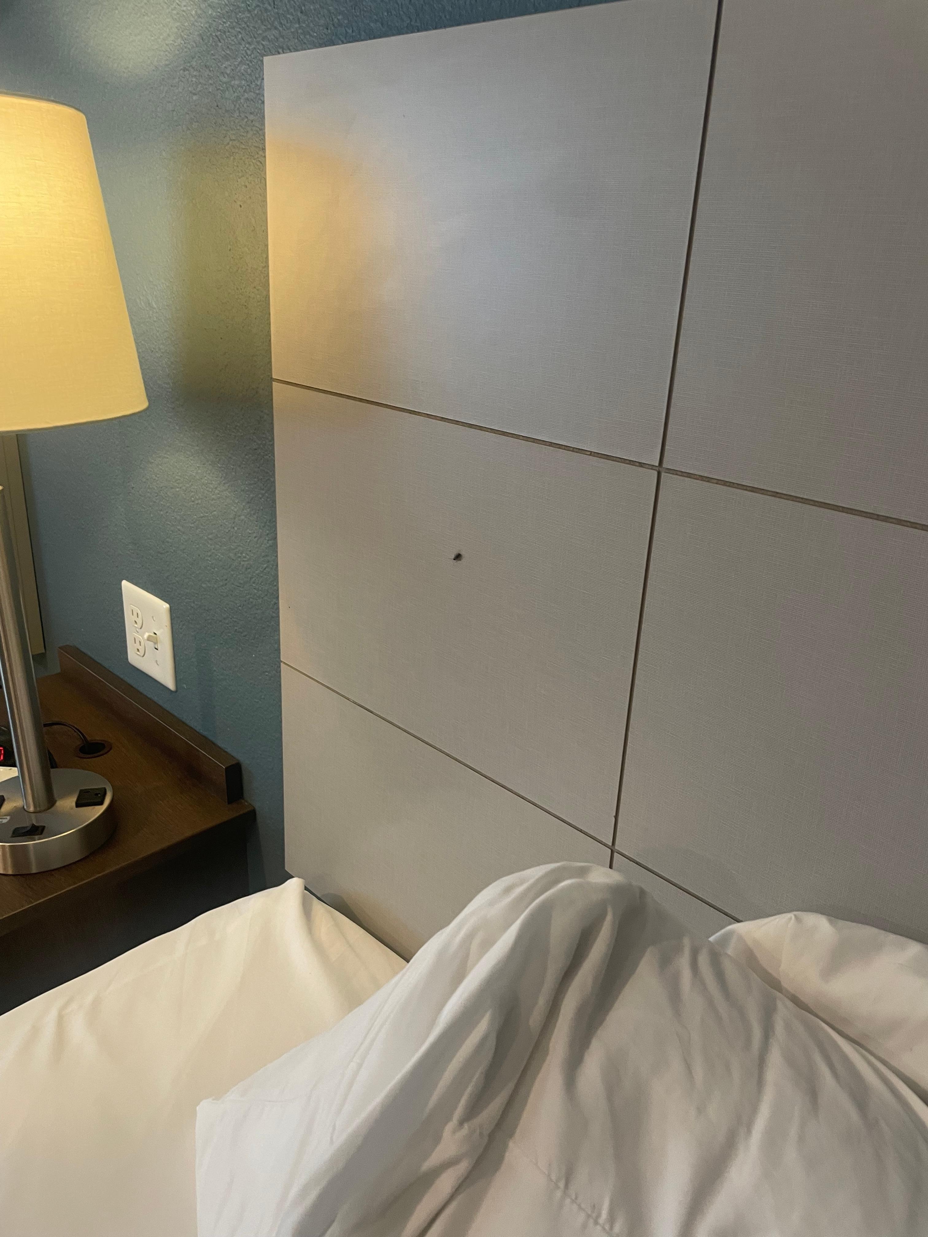 Roach on headboard