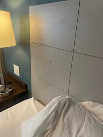 Roach on headboard