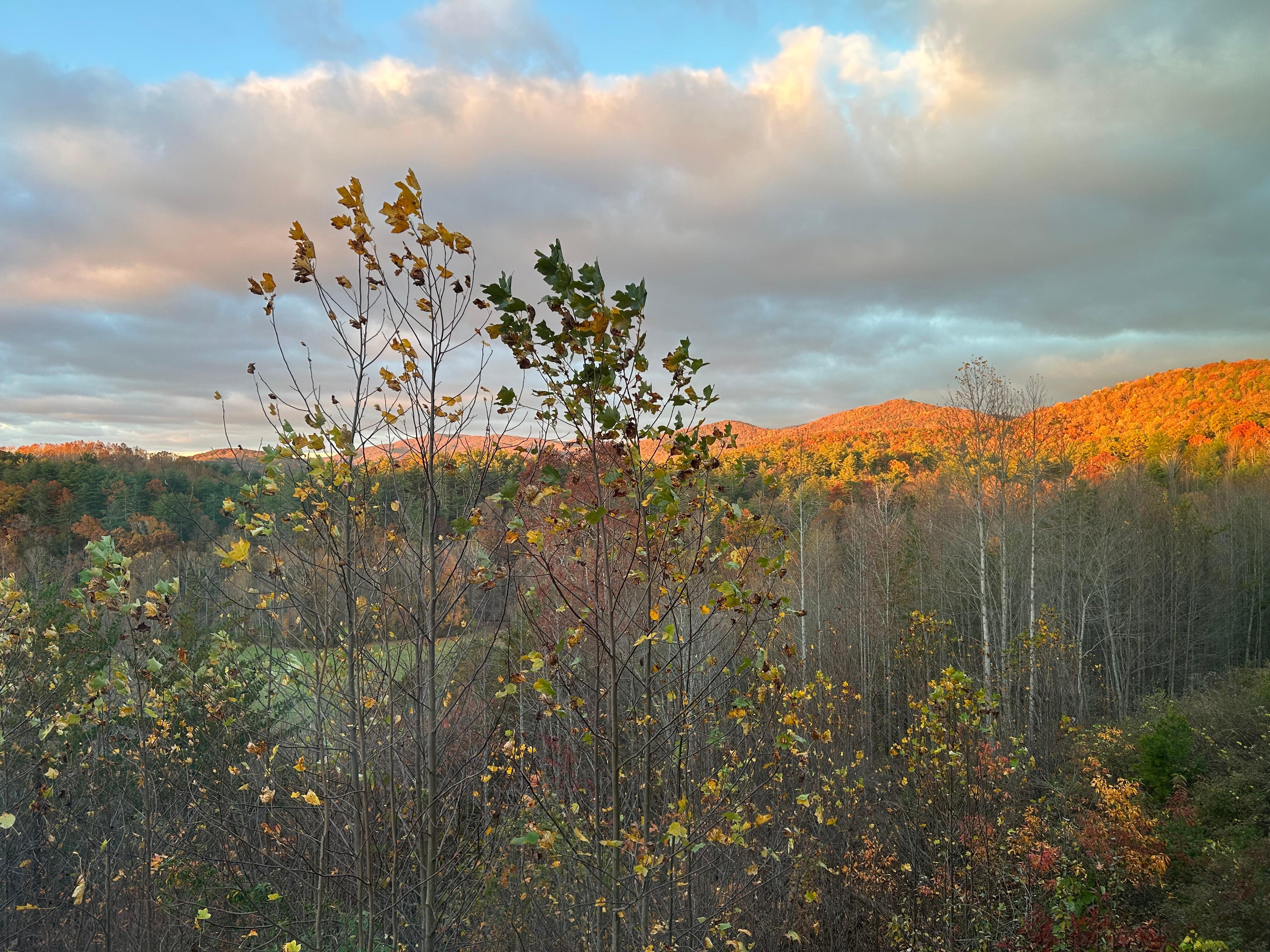 The view from my room! Lovely!