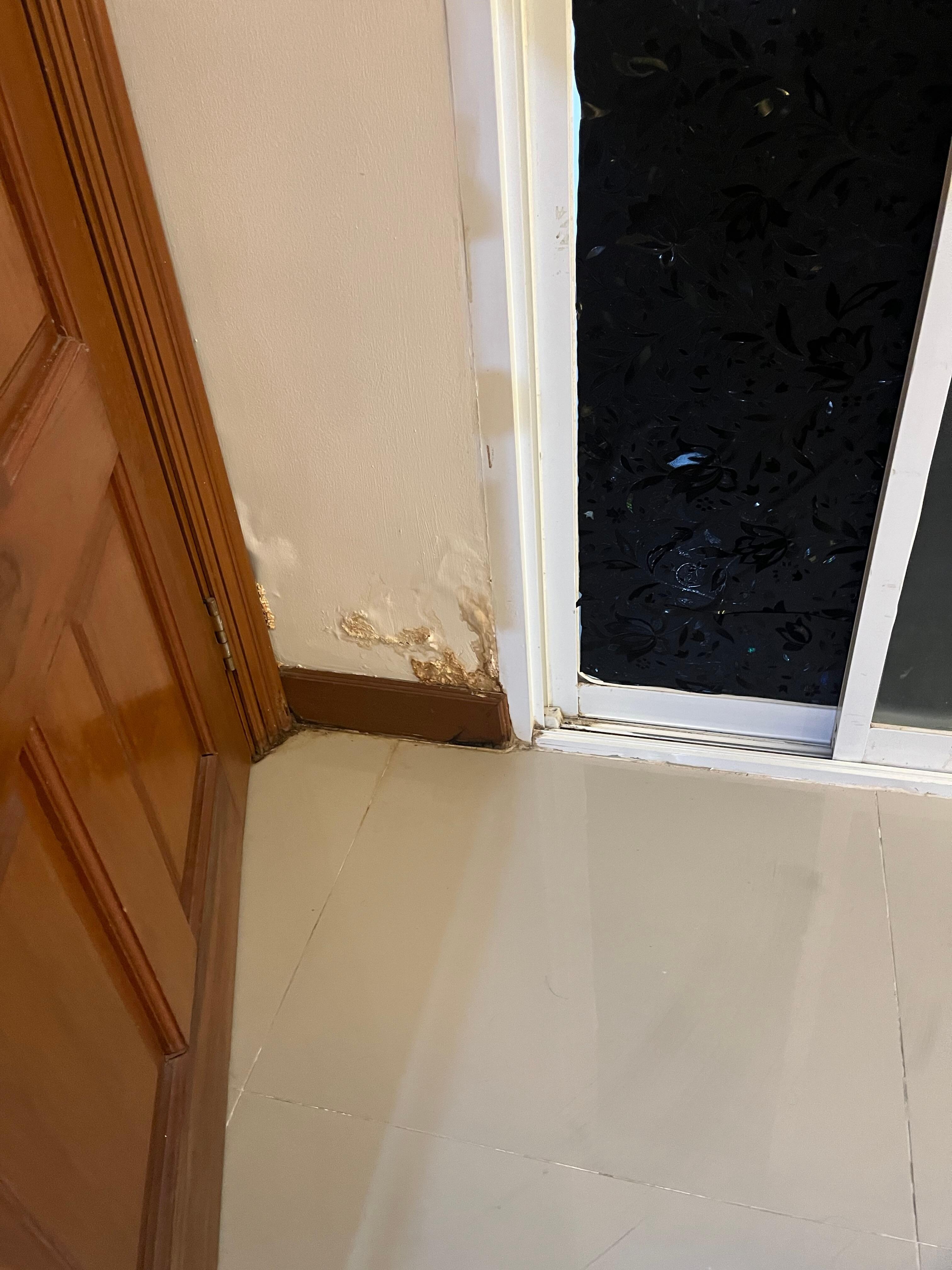 Rot mould and leakage in the room