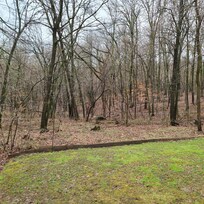 Maple syrup sap lines