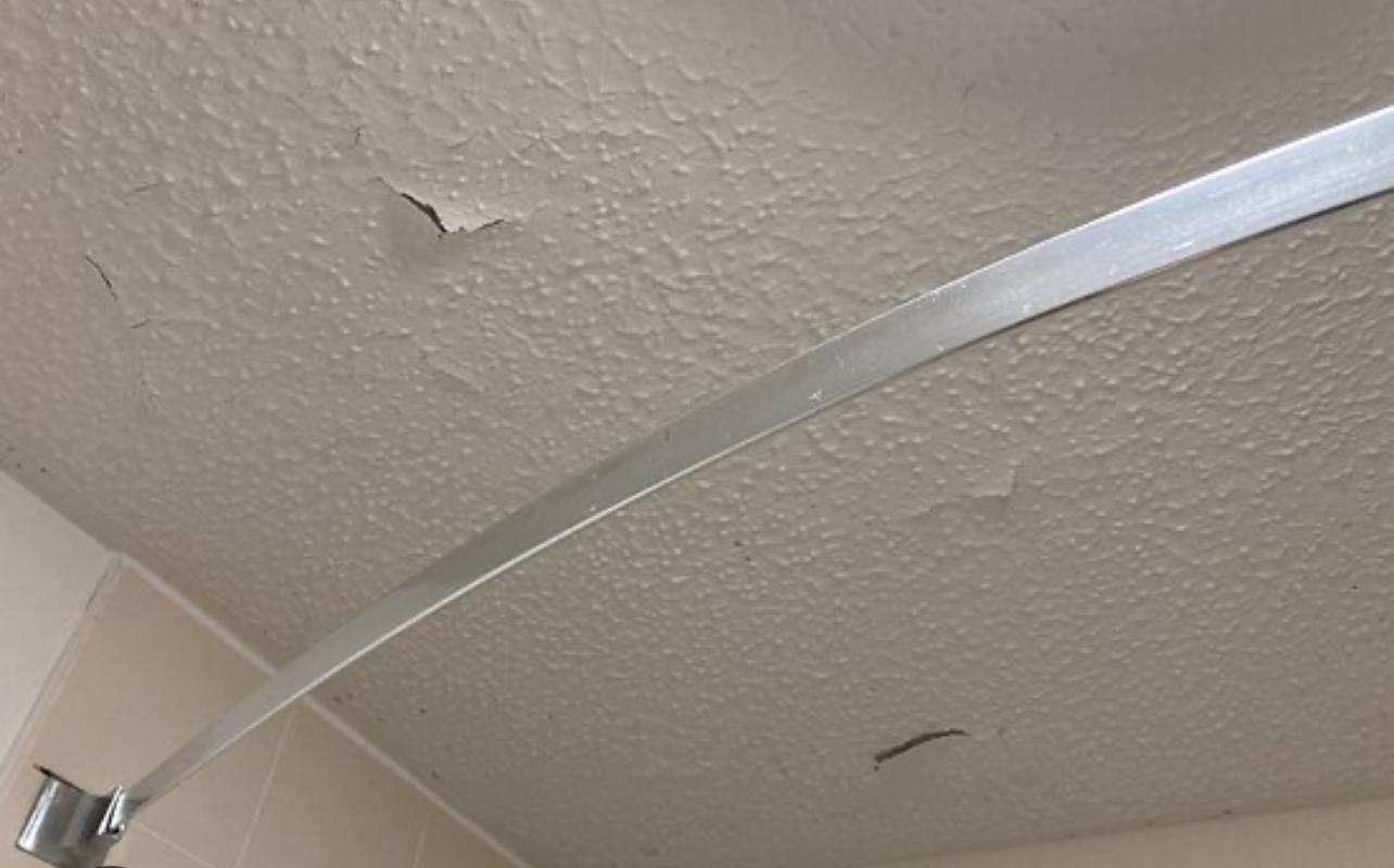 Ceiling coming off 