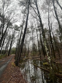 Road leading into the property (beginning of April)