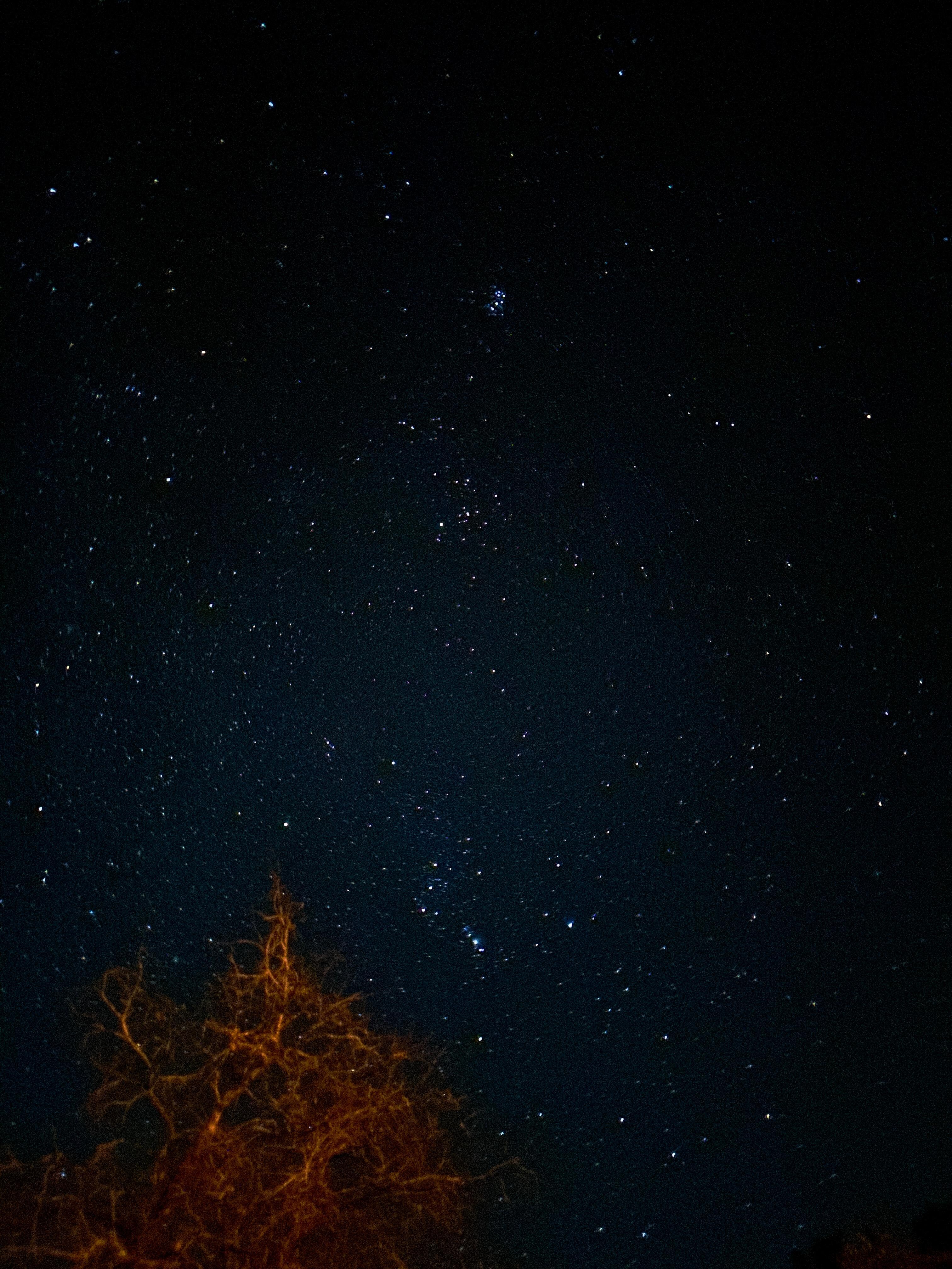 Perfect Stargazing opportunity with a hammock and swing viewing spots