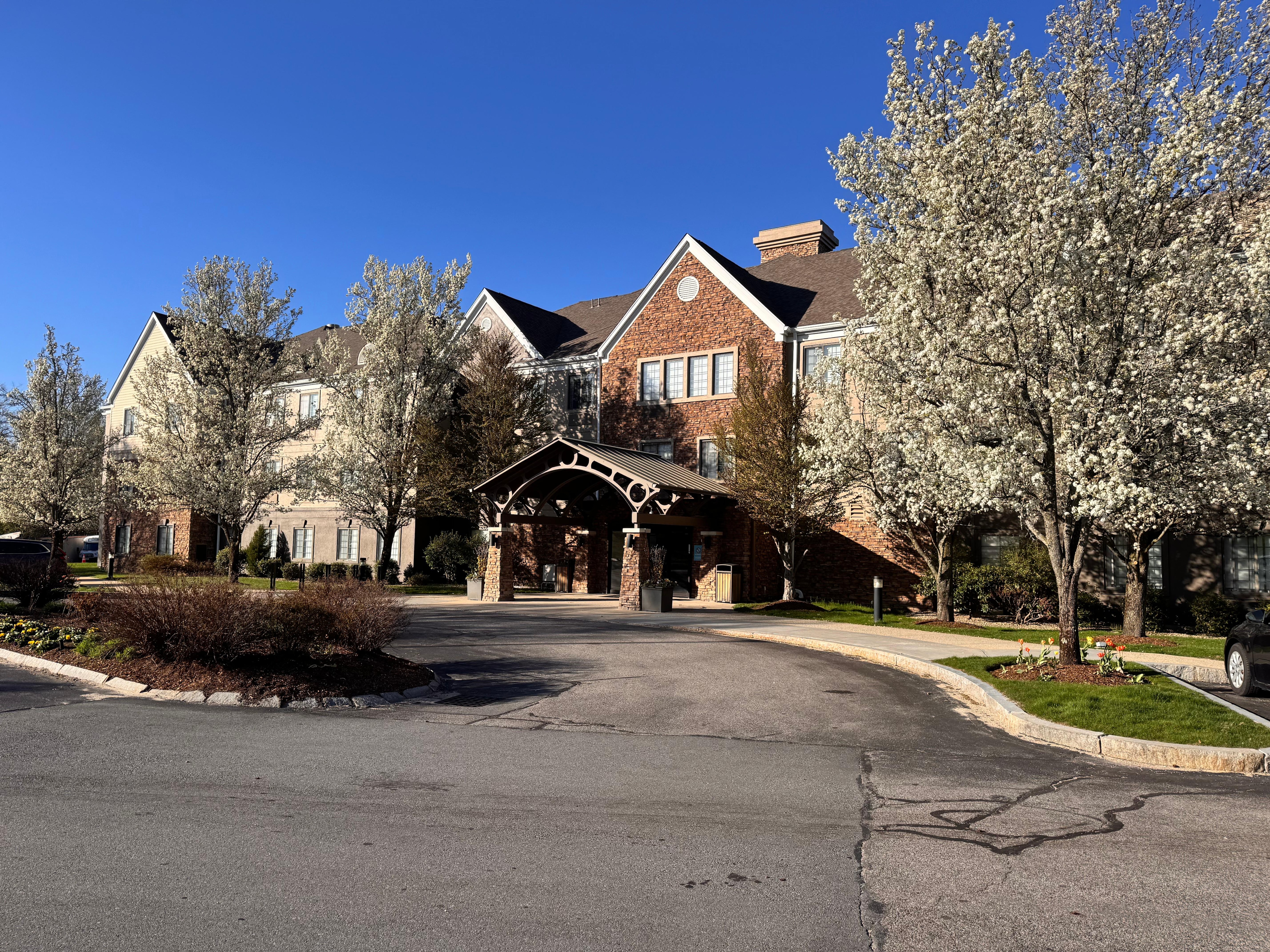 Spring is in the air!  Colorful flowers and blooming trees. 