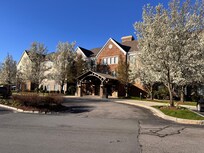 Spring is in the air! Colorful flowers and blooming trees.