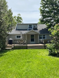 Back yard