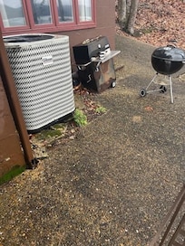 Junk in backyard