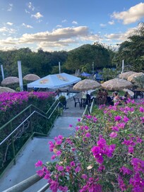 Loved going to mineral hot springs