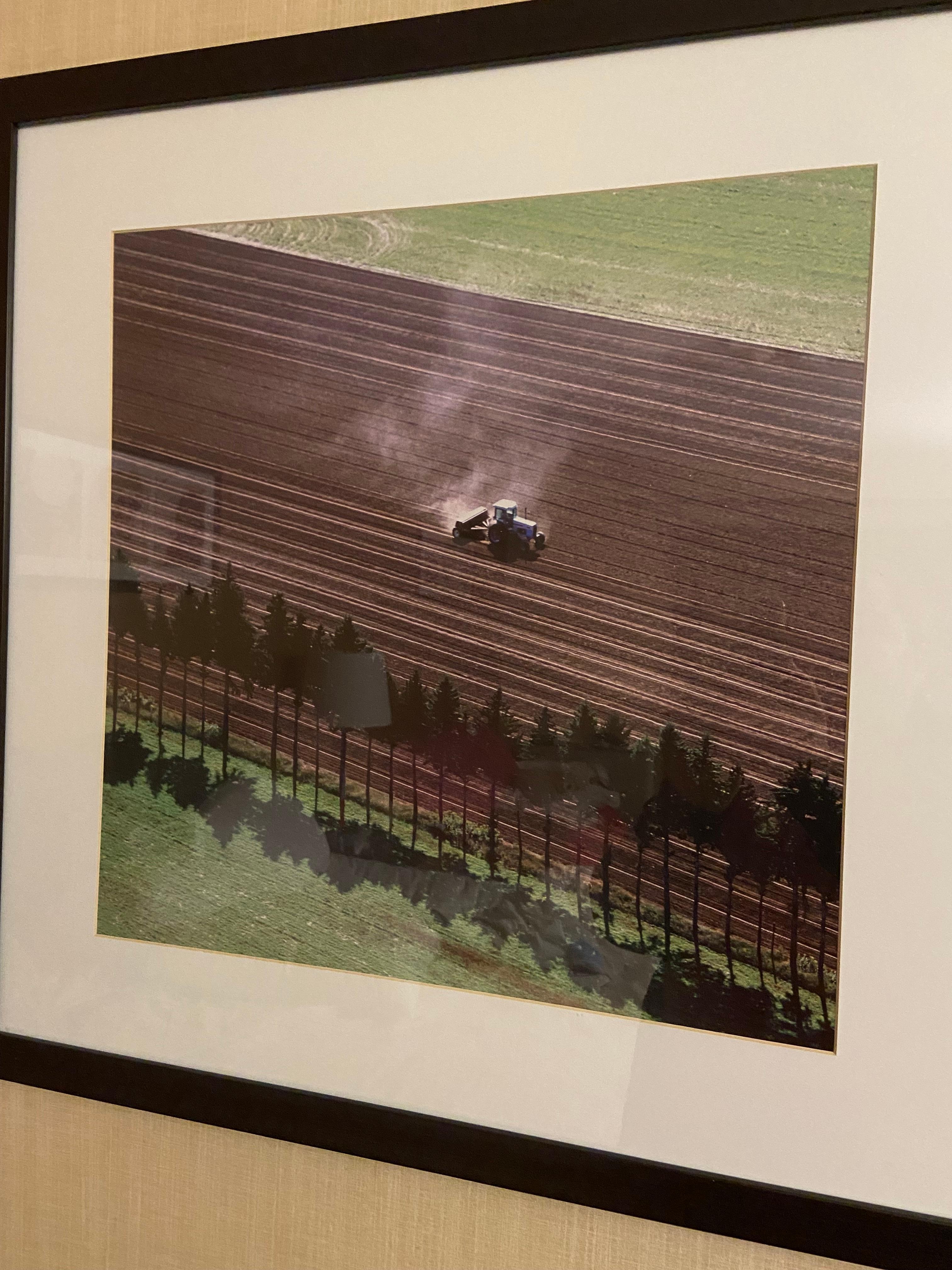 This is the beautiful Norfolk County representation picture showing agricultural foundation 