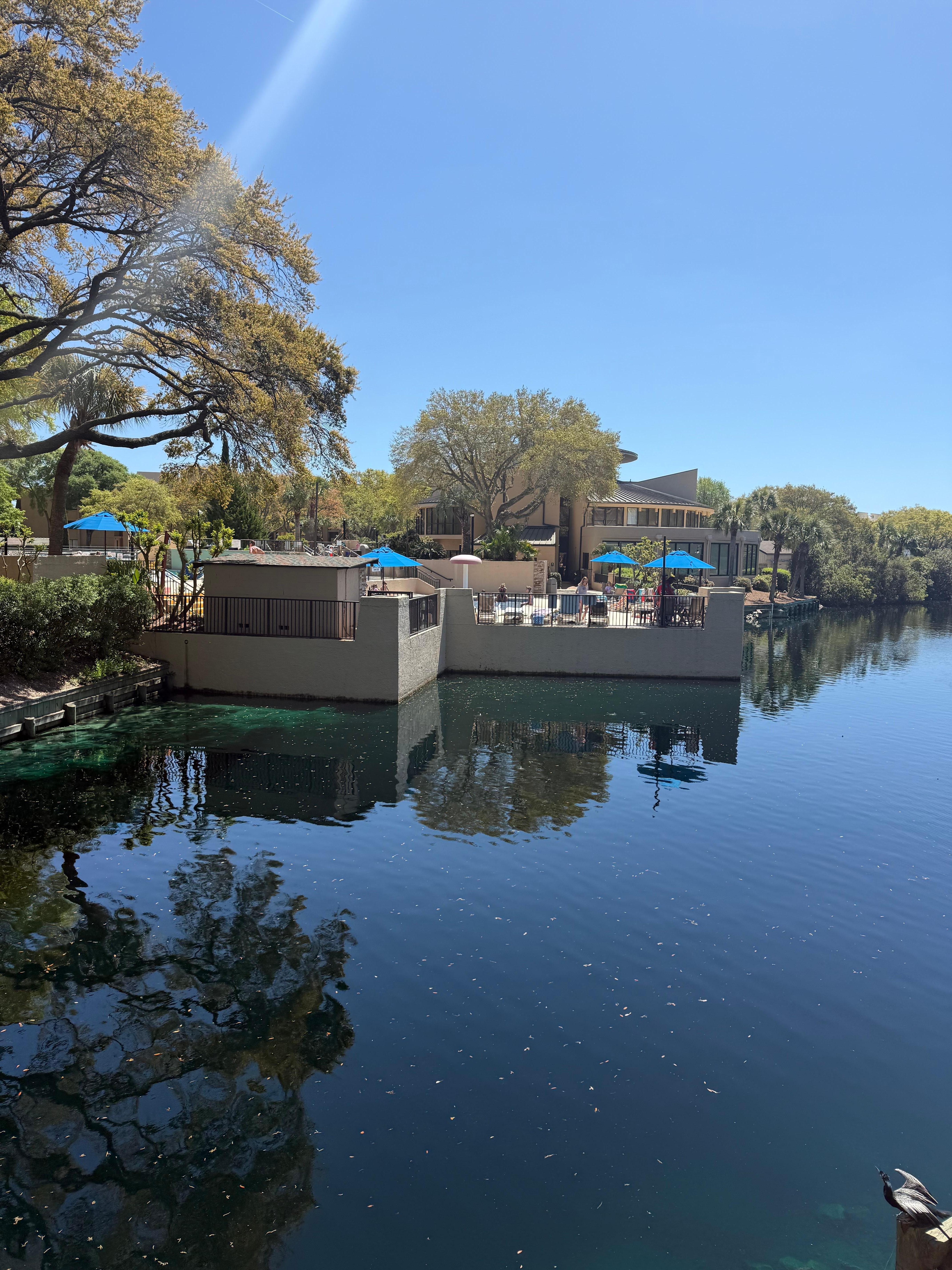 View to pool of grounds