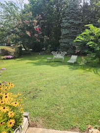 The grounds behind the pool.