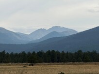 The backyard view