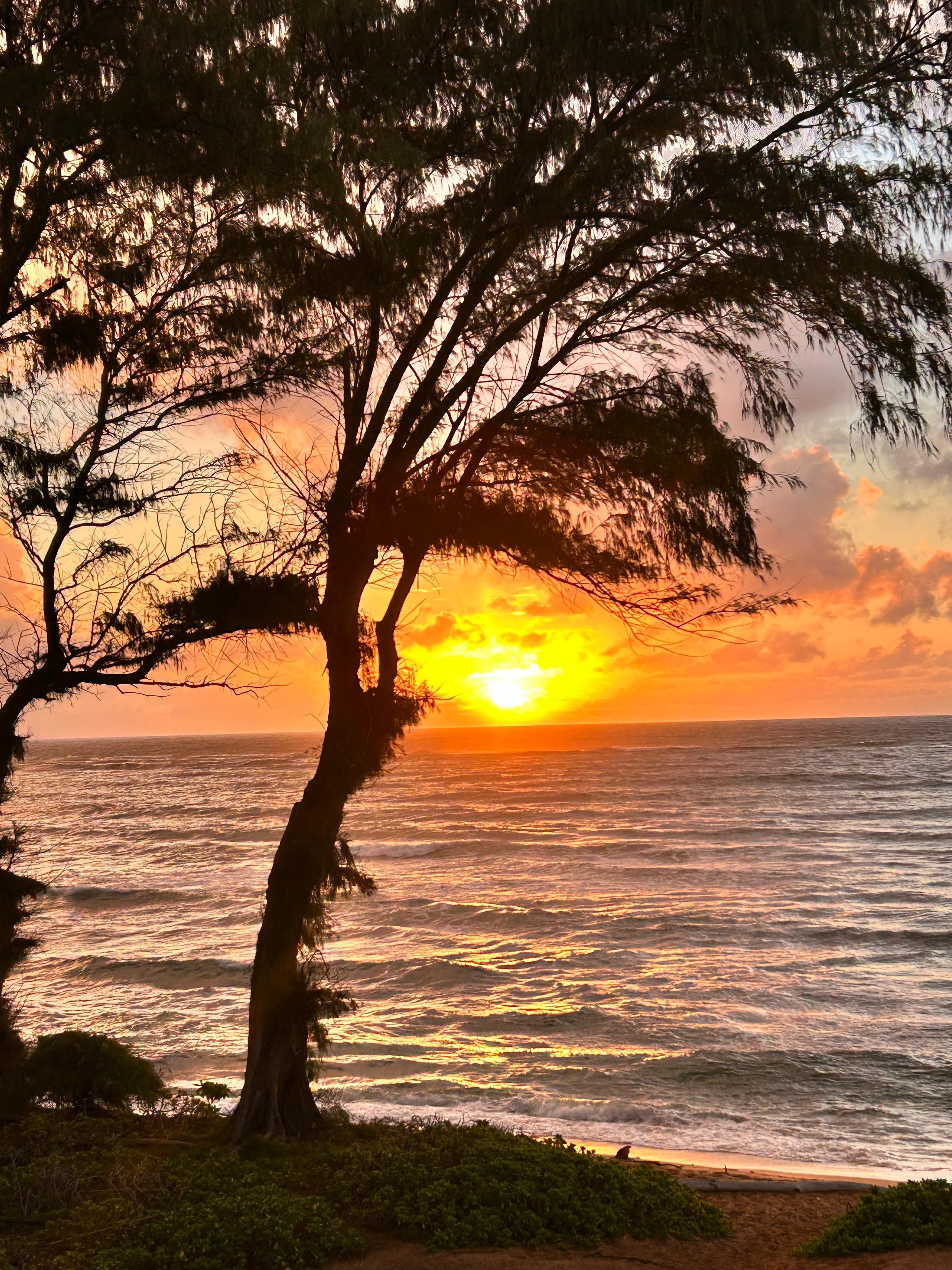 Beautiful sunrises every morning!